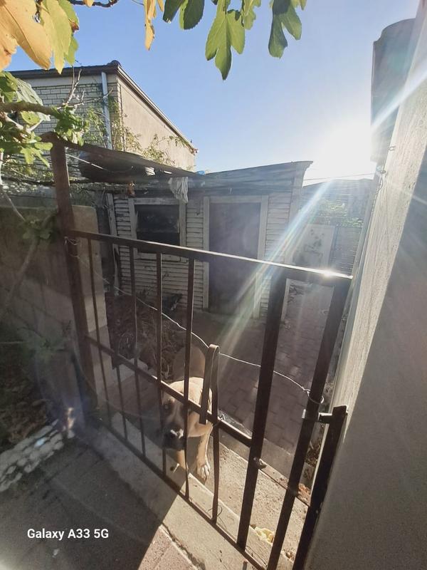 3 Bedroom Property for Sale in Protea Heights Western Cape